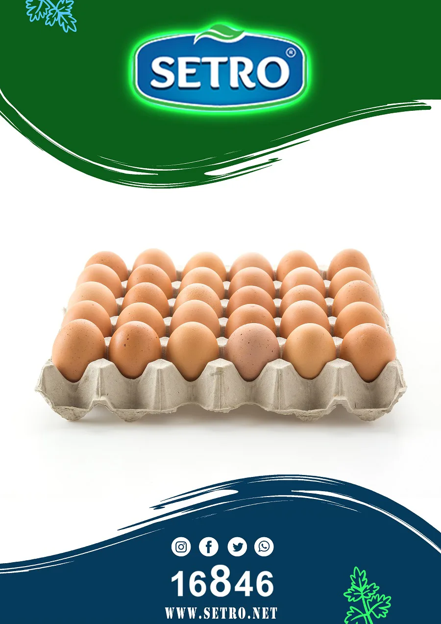 بيض بلدي سترو (خاص بفرع التجمع)